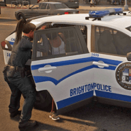 警察模拟巡逻办公室（Police Simulator Patrol Officer）_logo